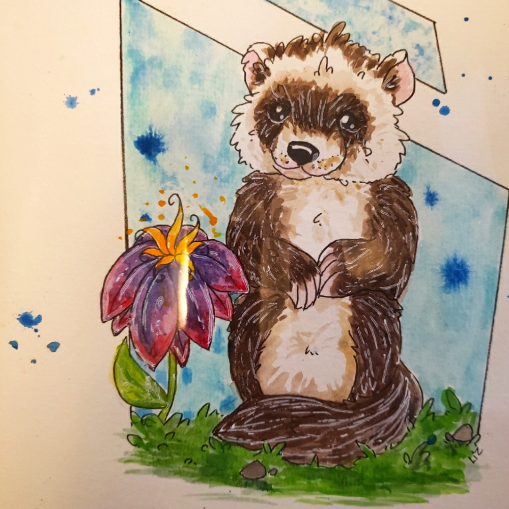 Meet your Posher, Liz